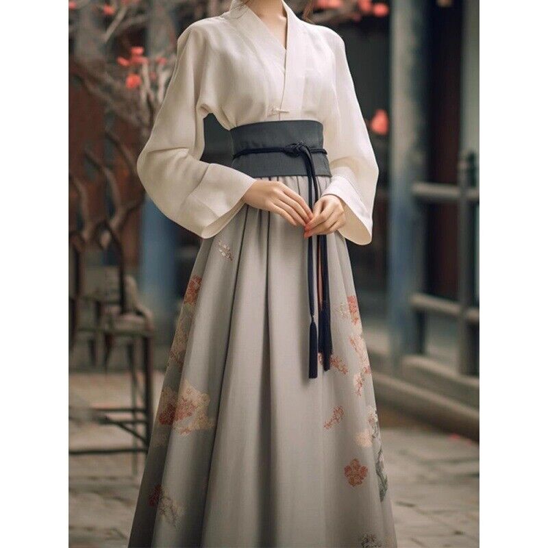 Song Dynasty Hanfu Women Long Skirt Costume Dress Chinese Style Vintage Party