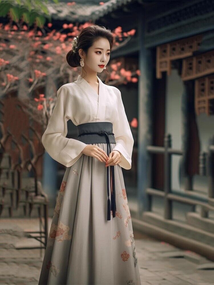 Song Dynasty Hanfu Women Long Skirt Costume Dress Chinese Style Vintage Party