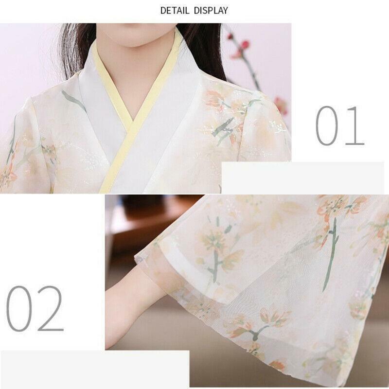 Kid Girl Chinese Floral Dress Embroidered Sheer Hanfu Tang Suit Ancient Clothes