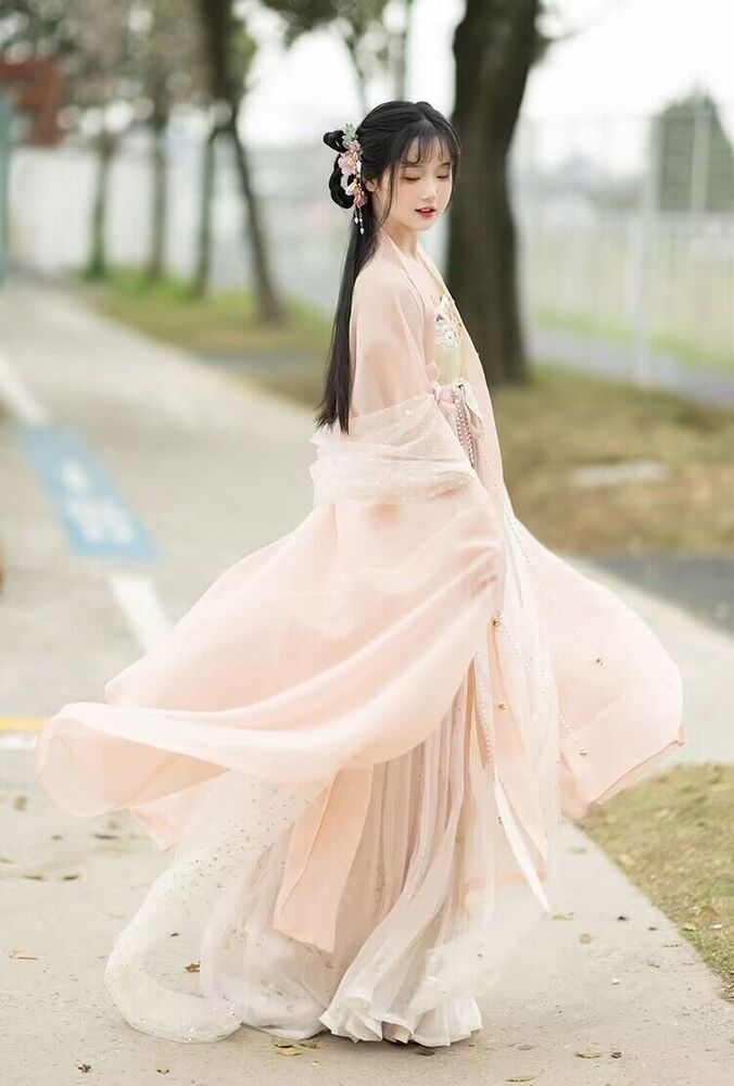 Women Hanfu Dress Chinese Ancient Traditional Hanfu Sets Retro Ethnic Costume