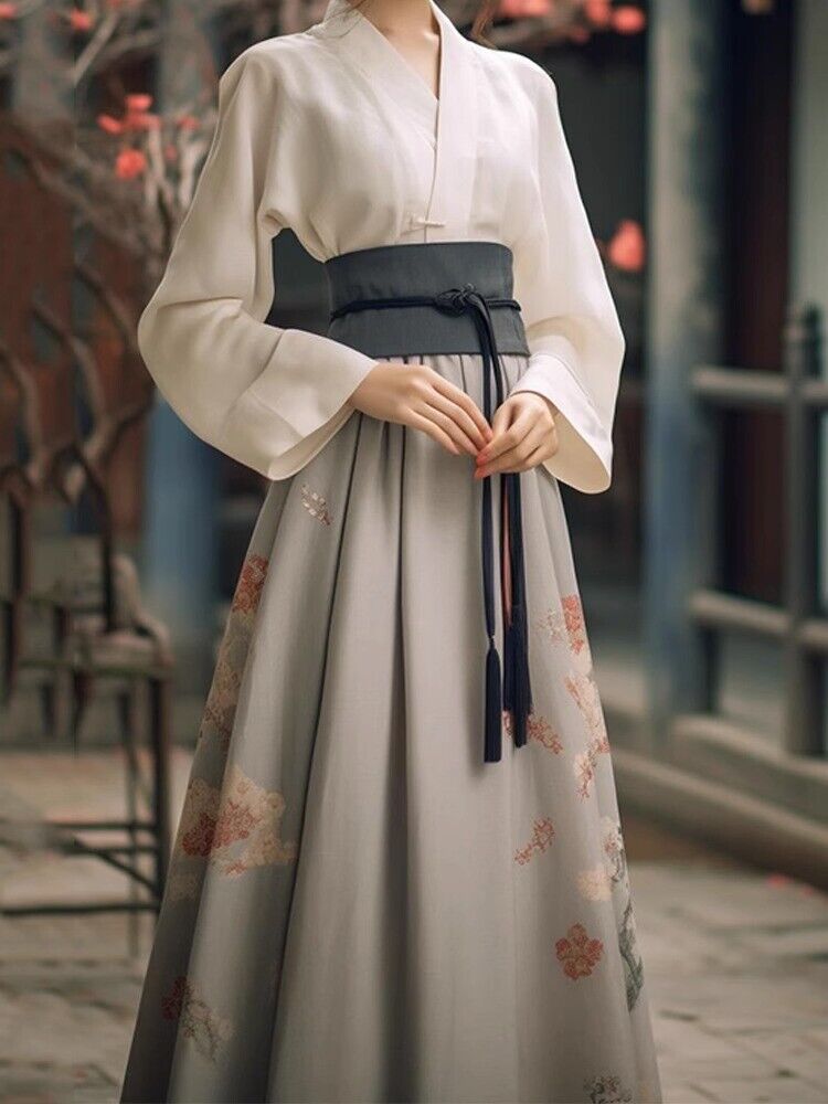 Song Dynasty Hanfu Women Long Skirt Costume Dress Chinese Style Vintage Party