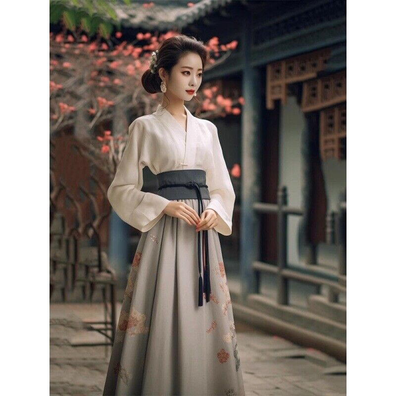 Song Dynasty Hanfu Women Long Skirt Costume Dress Chinese Style Vintage Party